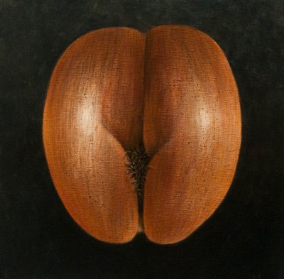 Coco de Mer, 2010 (tuval üzerine akrilik) by Lincoln Seligman