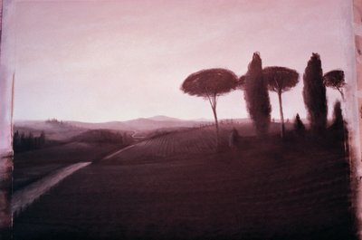Tuscan Manzarası, 1992 (kağıt üzerinde akrilik) by Lincoln Seligman