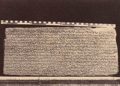  by Linnaeus Tripe