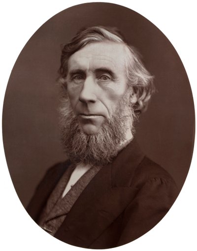 John Tyndall, DCL, LLD, FRS, Kraliyet Enstitüsünde Doğa Felsefesi Profesörü, 1877. by Lock and Whitfield
