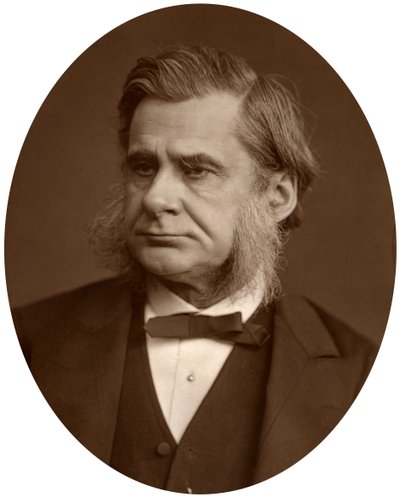 Profesör Thomas Henry Huxley, 1880. by Lock and Whitfield