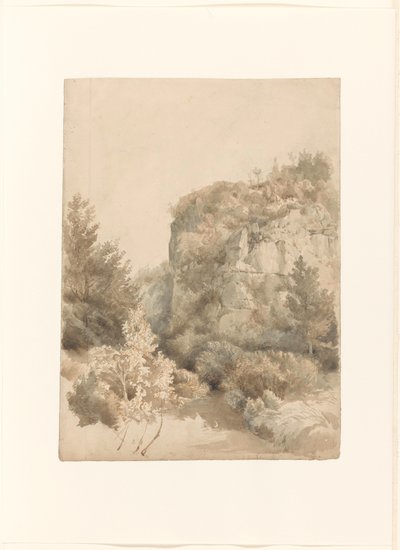 Yüksek bir kaya ve bir dere ile büyümüş vadi by Lodewijk Johannes Kleijn