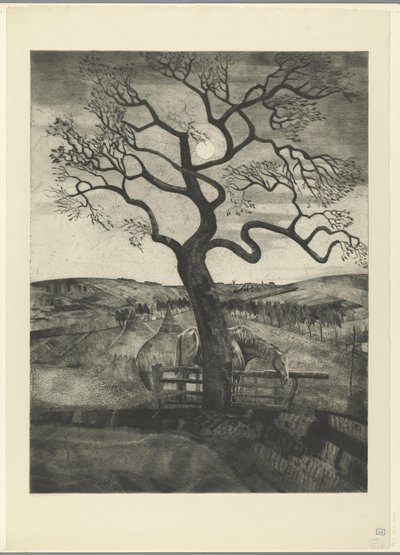 Etikhove Vieux cheval en repos'ta bir çayırda at (orijinal başlık) by Lodewijk Schelfhout (signed by artist)
