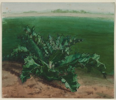Bir Bitkinin Çalışması, Muhtemelen Devedikeni by Léon Bonvin