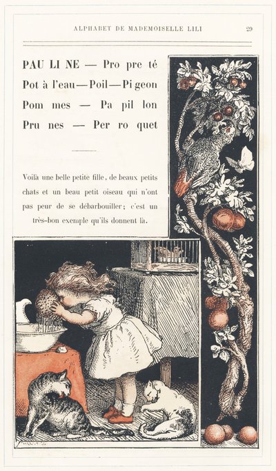 Pauline, Temiz, Su Kabı, Saç, Güvercin, Elma, Kelebek, Erik, Papağan, sayfa 29 - Matmazel Lili, L. Froelich ve bir baba (Hetzel