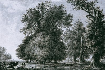 Meşe ile Peyzaj by Lorenz Adolf Schönberger