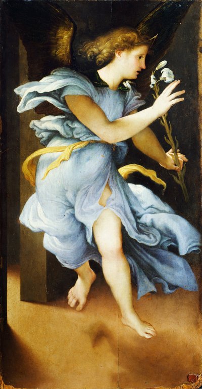 Anons Angel, 1525 dolaylarında, Lorenzo Lotto (1480 ca-1556), panel üzerine yağlı boya, 82x42 cm by Lorenzo Lotto