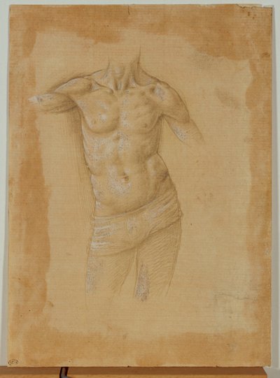 Başı olmayan yarı çıplak bir adam büstü ... by Lorenzo di Credi