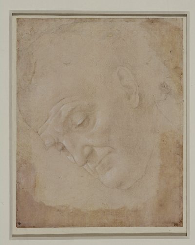 Dörtte üçü sola dönük kel bir adam portresi ... by Lorenzo di Credi