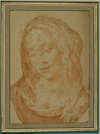 Peçeli bir kadın portresi ... by Lorenzo di Credi