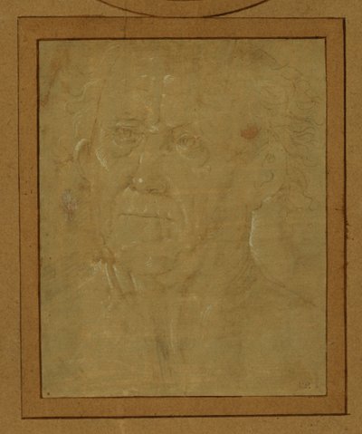 Yaşlı bir adamın portresi ... by Lorenzo di Credi