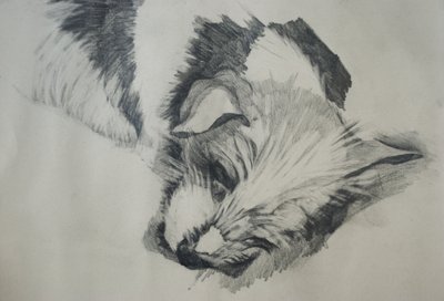 Jack Russel, 2015, by Lou Gibbs