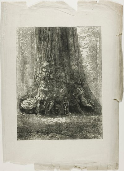  by Louis Auguste Lepère