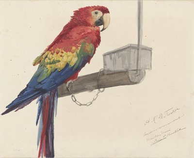 Papağan by Louis Charles Bombled