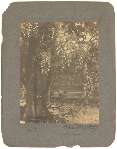 Tiffany Studios, 1898-1920 dolayları (fotoğraf s/b) by Louis Comfort Tiffany
