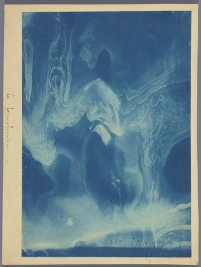 Le transformisme / Sic transit (nesne üzerindeki başlık) by Louis Ducos du Hauron (attributed to)