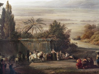 Pius VI, Pontine Bataklıkları