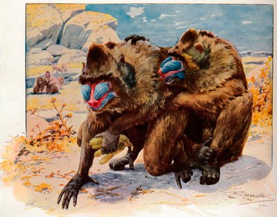 Mandreller, 1910, 1911 by Louis Fairfax Muckley