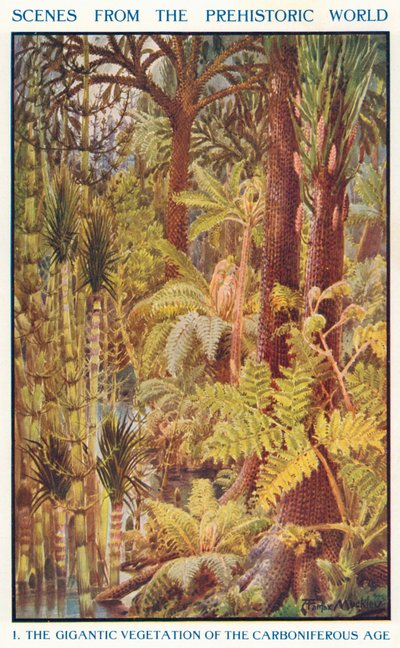 Karbonifer Çağının Devasa Bitki Örtüsü (renkli lito) by Louis Fairfax Muckley