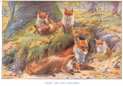 Vixen ve Çocukları, 