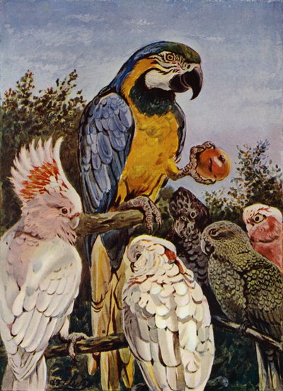 "Elmamı kim ısırdı?" (renkli taş) by Louis Fairfax Muckley