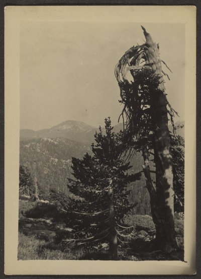  by Louis Fleckenstein