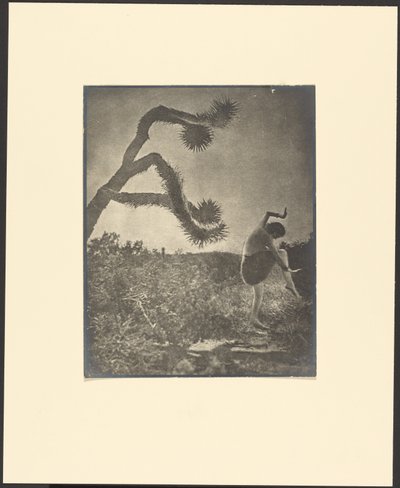 Apaçi Dansı by Louis Fleckenstein