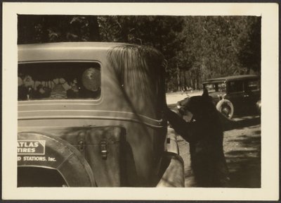  by Louis Fleckenstein
