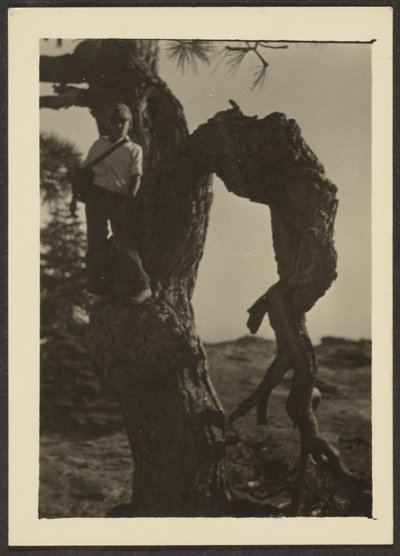  by Louis Fleckenstein