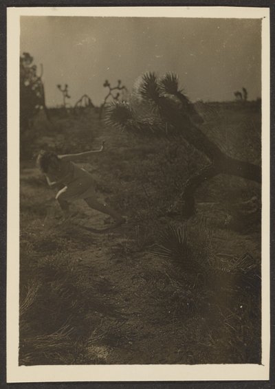  by Louis Fleckenstein