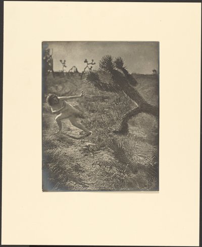  by Louis Fleckenstein