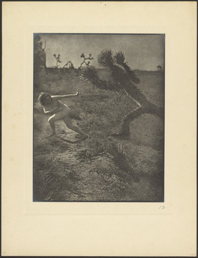  by Louis Fleckenstein