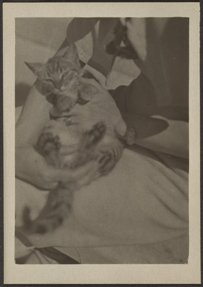  by Louis Fleckenstein