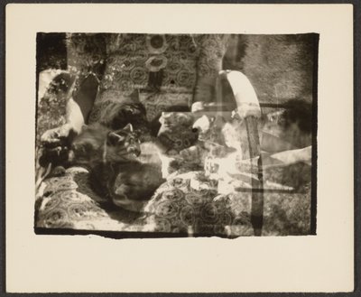  by Louis Fleckenstein
