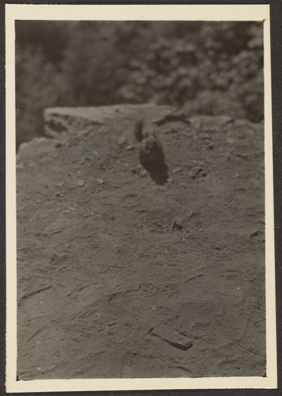  by Louis Fleckenstein