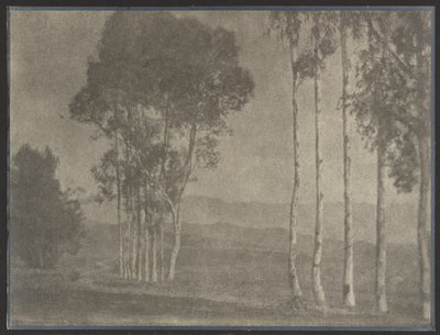  by Louis Fleckenstein