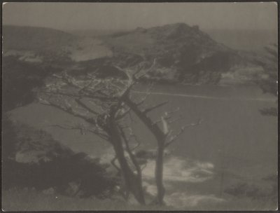  by Louis Fleckenstein