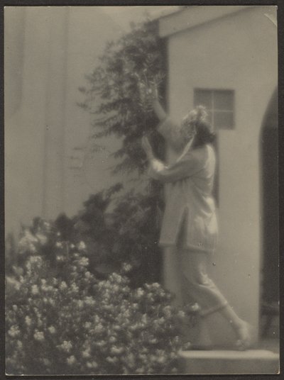  by Louis Fleckenstein