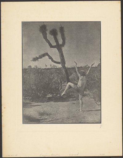  by Louis Fleckenstein