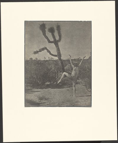 Dans Ustası by Louis Fleckenstein
