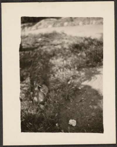  by Louis Fleckenstein