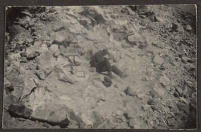  by Louis Fleckenstein