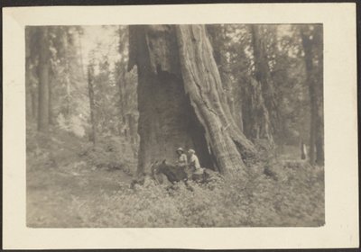  by Louis Fleckenstein