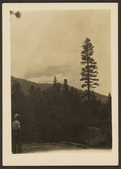  by Louis Fleckenstein