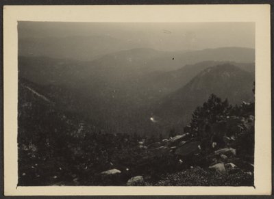  by Louis Fleckenstein