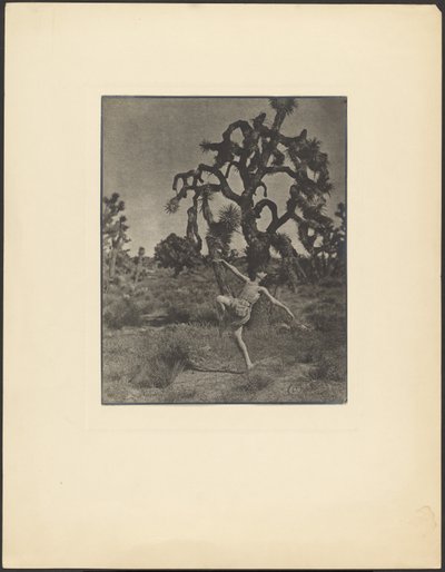 Dansın İlhamı by Louis Fleckenstein