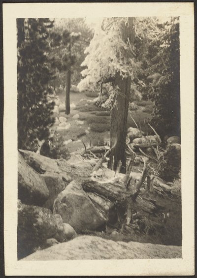  by Louis Fleckenstein