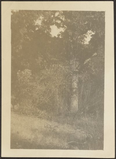  by Louis Fleckenstein