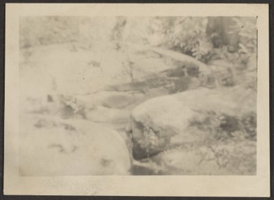  by Louis Fleckenstein