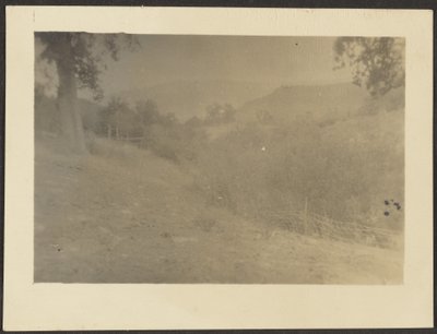  by Louis Fleckenstein